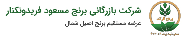 بازرگانی برنج مسعود فریدونکنار